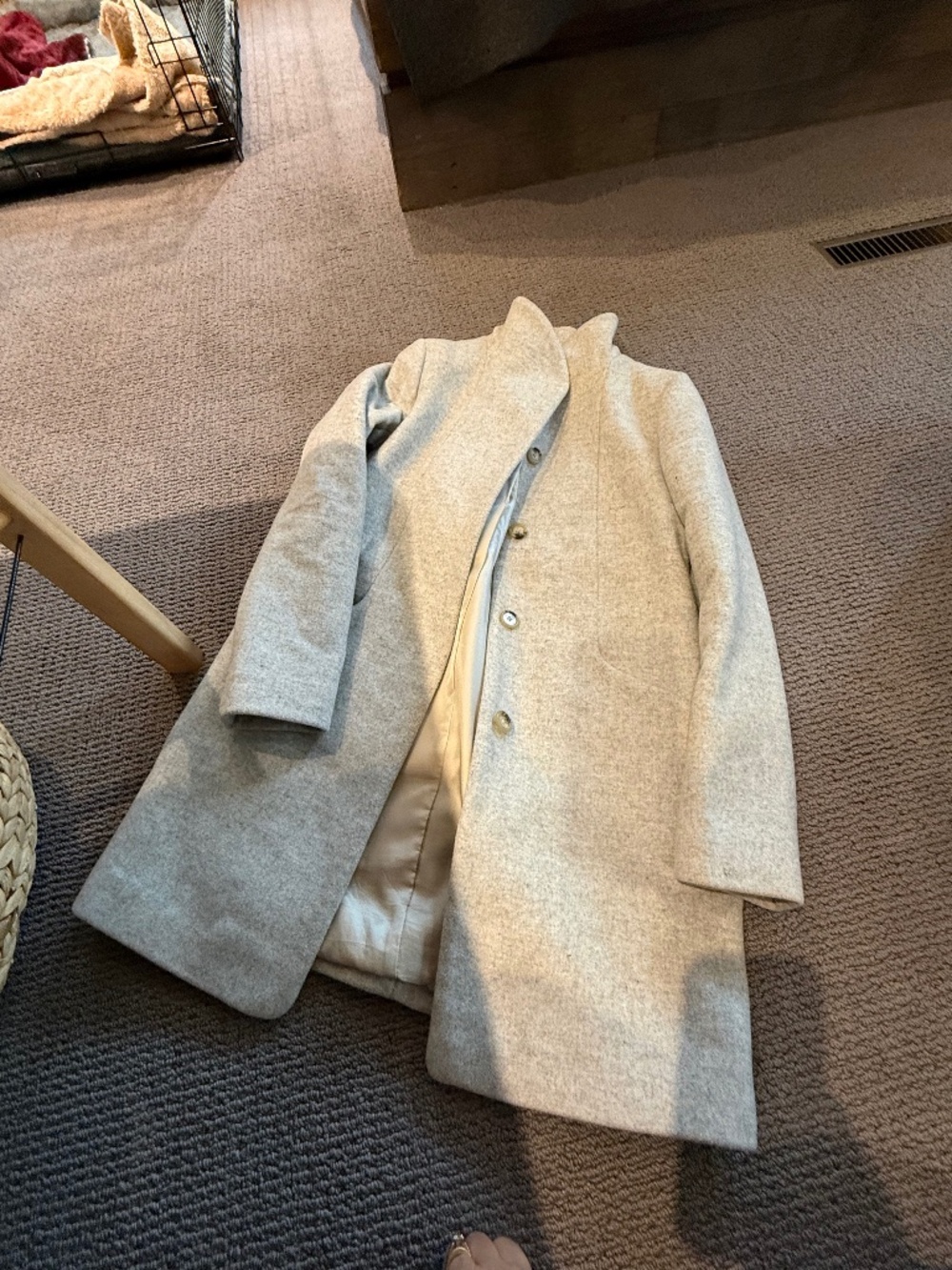 Aritzia Coat